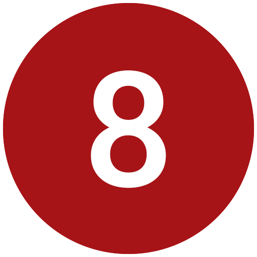 Icon 8